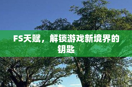 解锁游戏新境界的钥匙图片