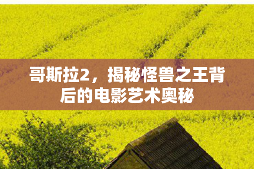 哥斯拉2,揭秘怪兽之王背后的电影艺术奥秘 哥斯拉2,揭秘怪兽之王背后的电影艺术奥秘