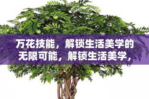解锁生活美学的无限可能图片