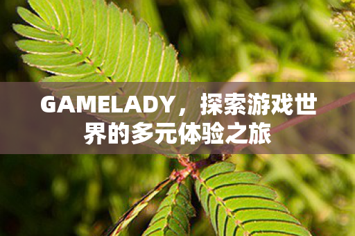GAMELADY,探索游戏世界的多元体验之旅 GAMELADY,探索游戏世界的多元体验之旅