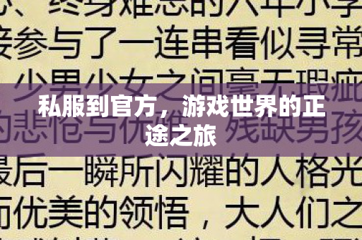 私服到官方，游戏世界的正途之旅