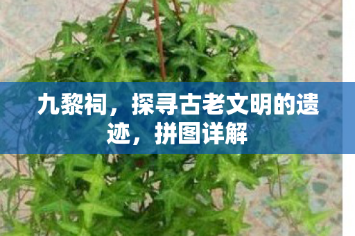 探寻古老文明的遗迹图片