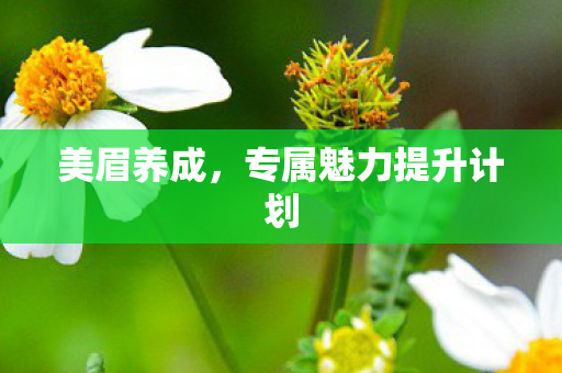 美眉养成,专属魅力提升计划 美眉养成,专属魅力提升计划