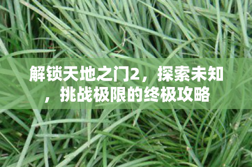 解锁天地之门2,探索未知,挑战极限的终极攻略 解锁天地之门2,探索未知,挑战极限的终极攻略