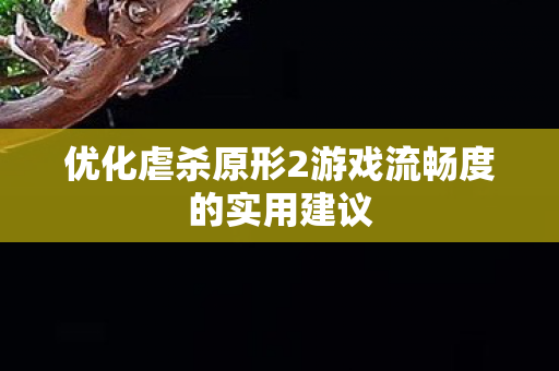 优化虐杀原形2游戏流畅度的实用建议 优化虐杀原形2游戏流畅度的实用建议