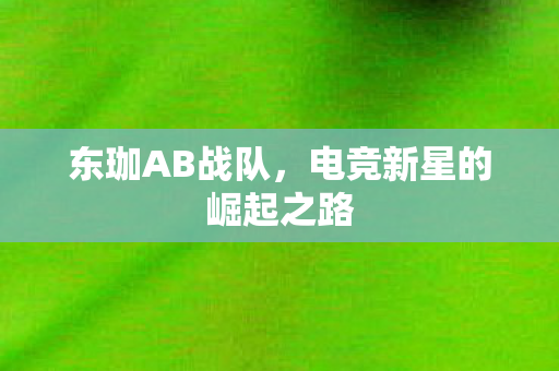 东珈AB战队,电竞新星的崛起之路 东珈AB战队,电竞新星的崛起之路