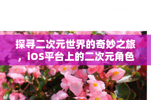 探寻二次元世界的奇妙之旅,iOS平台上的二次元角色体验 探寻二次元世界的奇妙之旅,iOS平台上的二次元角色体验