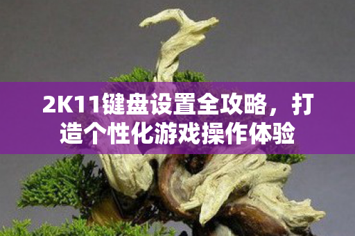 2K11键盘设置全攻略,打造个性化游戏操作体验 2K11键盘设置全攻略,打造个性化游戏操作体验