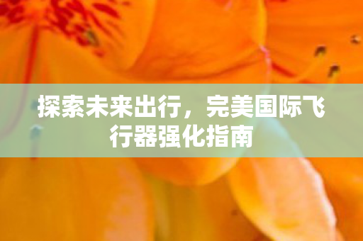 完美国际飞行器强化指南图片