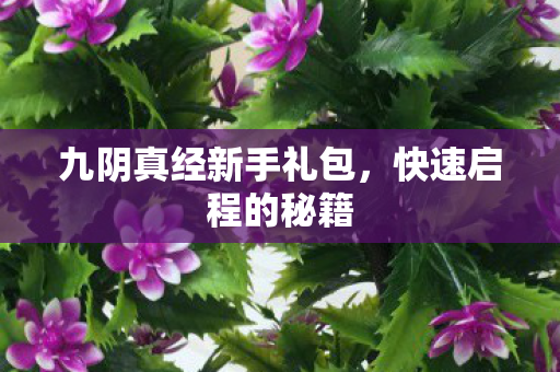九阴真经新手礼包图片