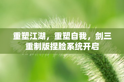 剑三重制版捏脸系统开启图片
