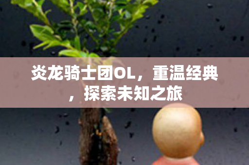炎龙骑士团OL图片