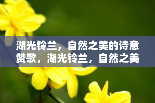 自然之美的诗意赞歌图片