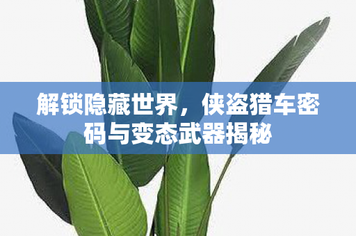 侠盗猎车密码与变态武器揭秘图片