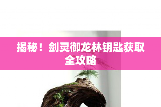 剑灵御龙林钥匙获取全攻略图片