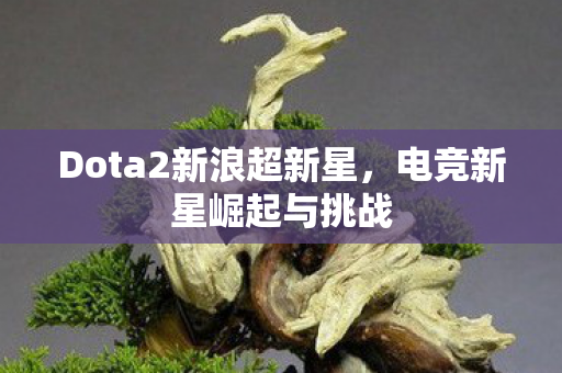 Dota2新浪超新星图片