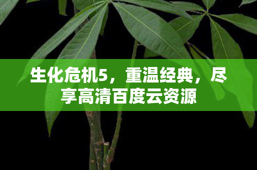 生化危机5,重温经典,尽享高清百度云资源 生化危机5,重温经典,尽享高清百度云资源