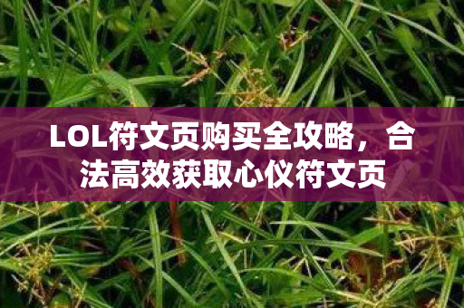 LOL符文页购买全攻略图片