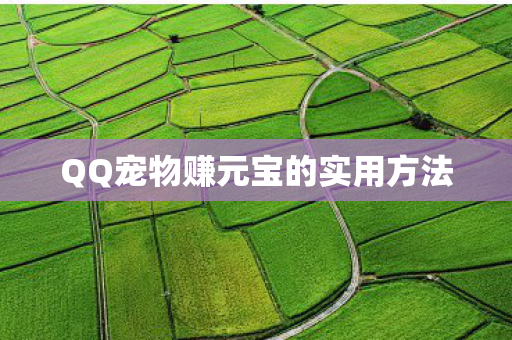 QQ宠物赚元宝的实用方法图片