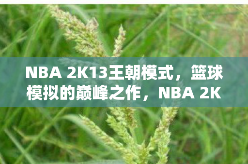 NBA 2K13王朝模式图片