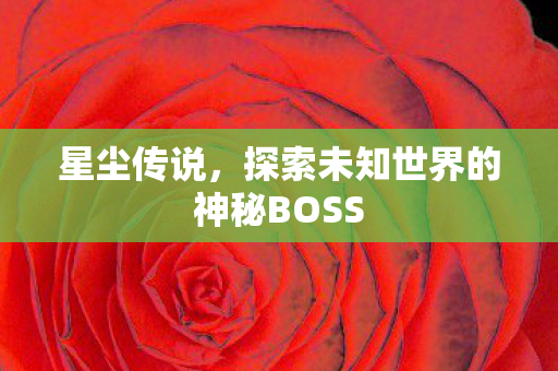 星尘传说，探索未知世界的神秘BOSS