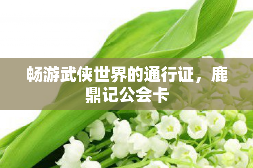 畅游武侠世界的通行证,鹿鼎记公会卡 畅游武侠世界的通行证,鹿鼎记公会卡