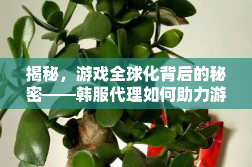 韩服代理如何助力游戏走向世界图片