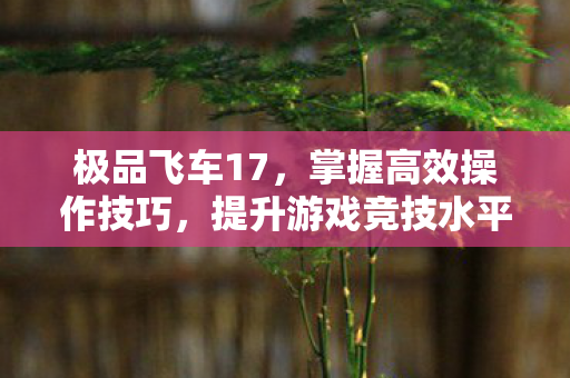 极品飞车17,掌握高效操作技巧,提升游戏竞技水平 极品飞车17,掌握高效操作技巧,提升游戏竞技水平