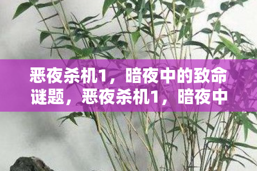暗夜中的致命谜题图片