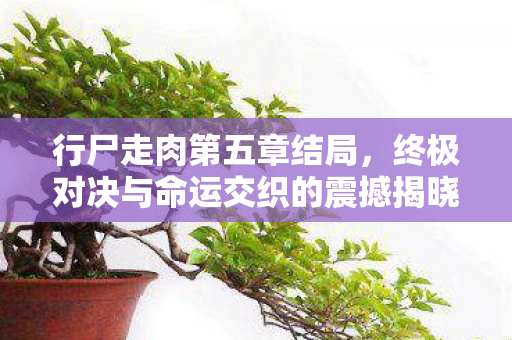 行尸走肉第五章结局,终极对决与命运交织的震撼揭晓 行尸走肉第五章结局,终极对决与命运交织的震撼揭晓