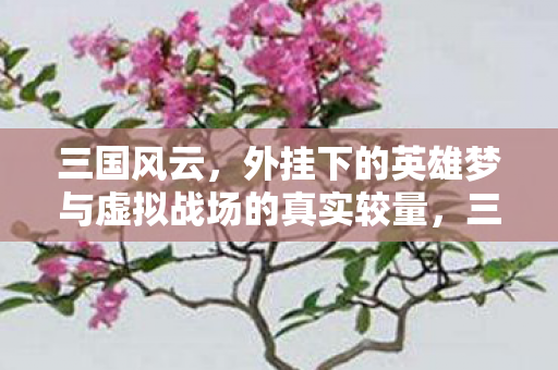 外挂下的英雄梦与虚拟战场的真实较量图片