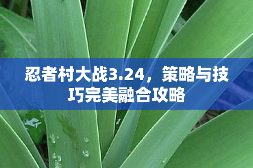 忍者村大战3.24，策略与技巧完美融合攻略