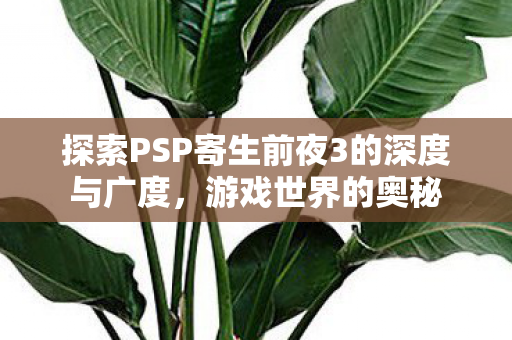 探索PSP寄生前夜3的深度与广度,游戏世界的奥秘 探索PSP寄生前夜3的深度与广度,游戏世界的奥秘