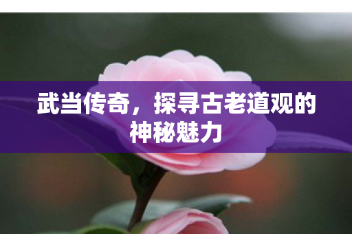 武当传奇,探寻古老道观的神秘魅力 武当传奇,探寻古老道观的神秘魅力