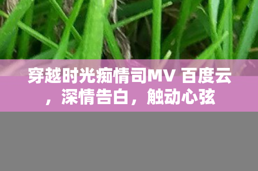 穿越时光痴情司MV 百度云，深情告白，触动心弦