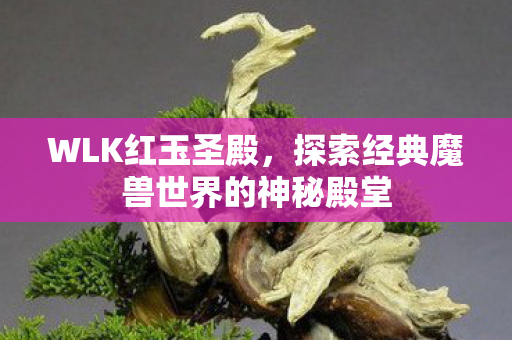 WLK红玉圣殿,探索经典魔兽世界的神秘殿堂 WLK红玉圣殿,探索经典魔兽世界的神秘殿堂