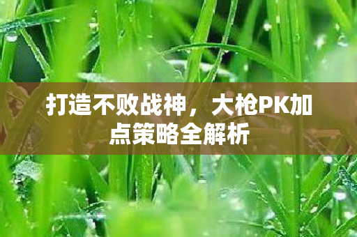 打造不败战神,大枪PK加点策略全解析 打造不败战神,大枪PK加点策略全解析
