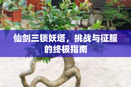仙剑三锁妖塔,挑战与征服的终极指南 仙剑三锁妖塔,挑战与征服的终极指南