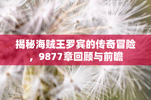 揭秘海贼王罗宾的传奇冒险,9877章回顾与前瞻 揭秘海贼王罗宾的传奇冒险,9877章回顾与前瞻