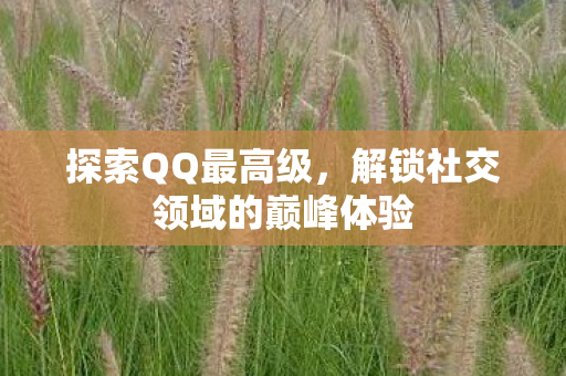 探索QQ最高级,解锁社交领域的巅峰体验 探索QQ最高级,解锁社交领域的巅峰体验