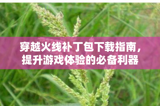 穿越火线补丁包下载指南,提升游戏体验的必备利器 穿越火线补丁包下载指南,提升游戏体验的必备利器