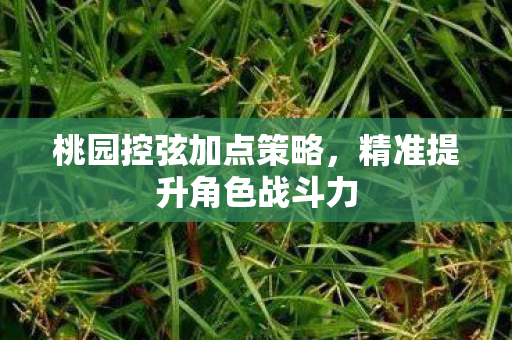 桃园控弦加点策略,精准提升角色战斗力 桃园控弦加点策略,精准提升角色战斗力