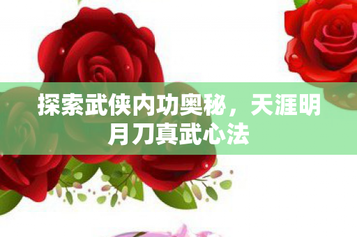 探索武侠内功奥秘，天涯明月刀真武心法