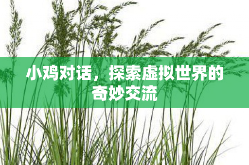探索虚拟世界的奇妙交流图片