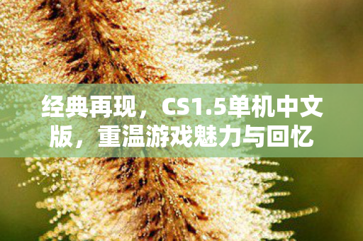 经典再现,CS1.5单机中文版,重温游戏魅力与回忆 经典再现,CS1.5单机中文版,重温游戏魅力与回忆