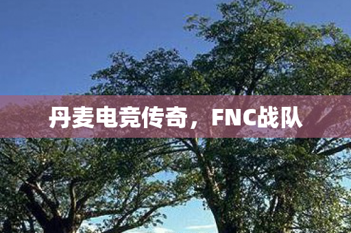 丹麦电竞传奇,FNC战队 丹麦电竞传奇,FNC战队