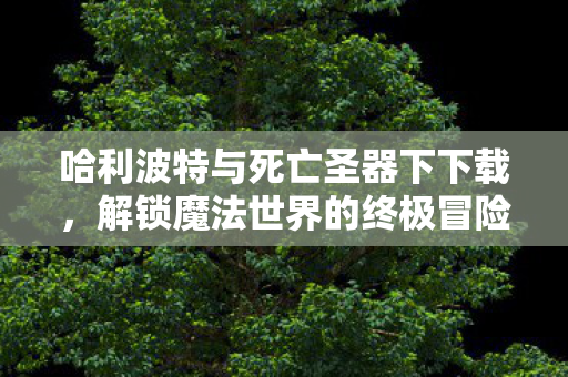 哈利波特与死亡圣器下下载,解锁魔法世界的终极冒险之旅 哈利波特与死亡圣器下下载,解锁魔法世界的终极冒险之旅