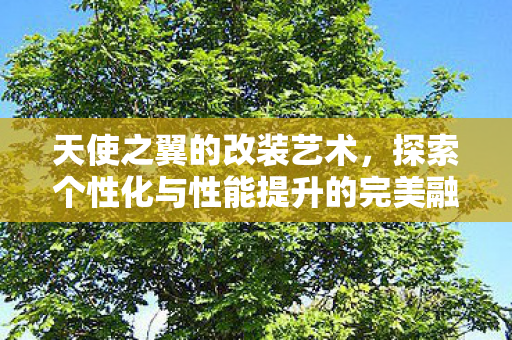 探索个性化与性能提升的完美融合图片