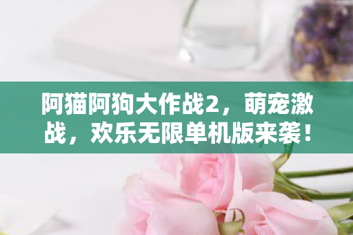 阿猫阿狗大作战2,萌宠激战,欢乐无限单机版来袭! 阿猫阿狗大作战2,萌宠激战,欢乐无限单机版来袭!
