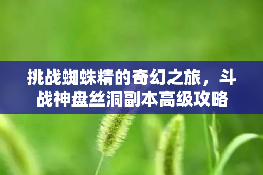 挑战蜘蛛精的奇幻之旅,斗战神盘丝洞副本高级攻略 挑战蜘蛛精的奇幻之旅,斗战神盘丝洞副本高级攻略